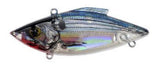 Lectric Silver | Rat-L-Trap | Bill Lewis | Big Fish On